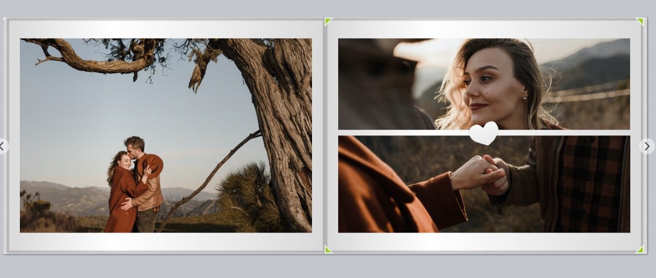 Conseil n° 3 : des photos de près et de loin de un livre photo