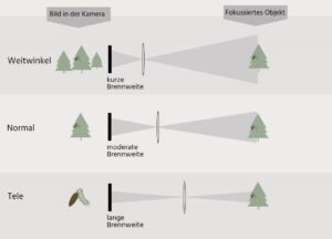 Brennweiten: Funktion verstehen