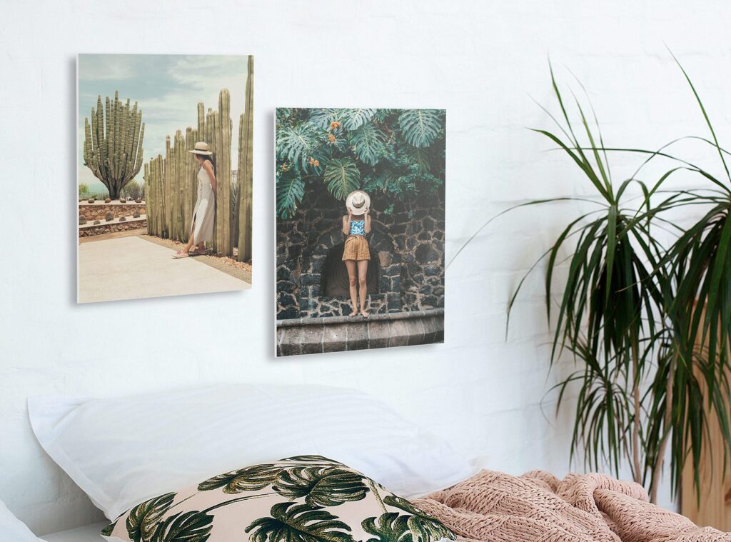 Wandbilder und Zimmerpflanzen_Was passt in welchen Raum?