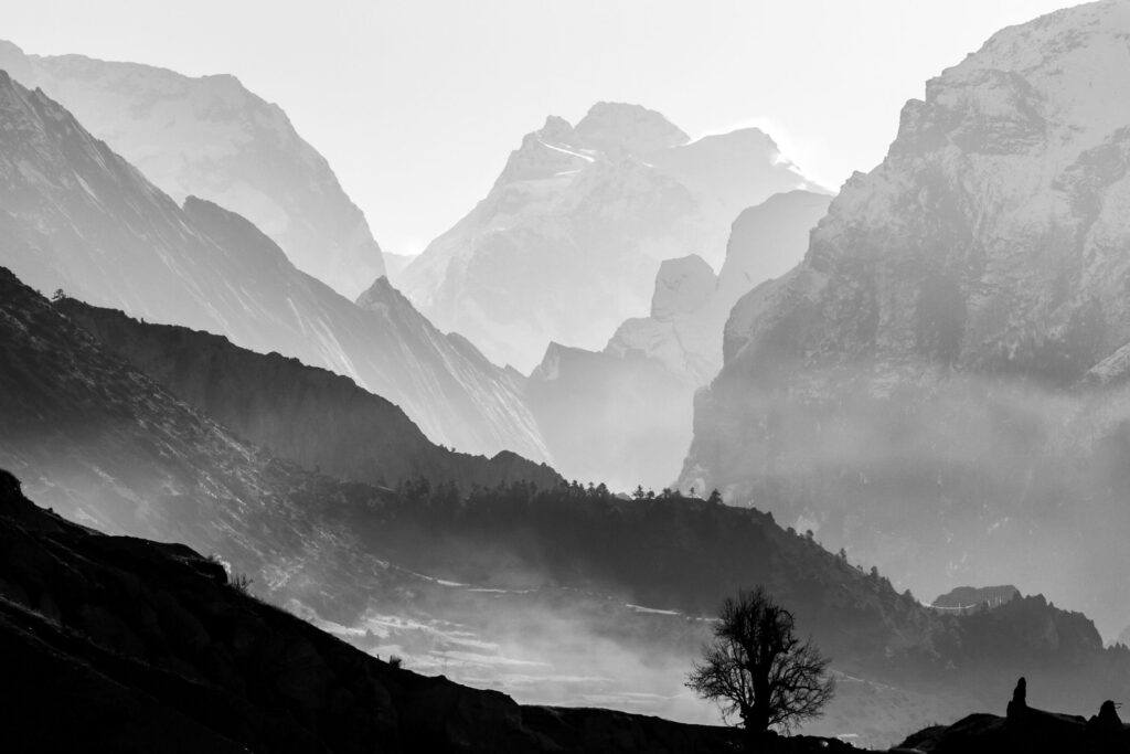 Schwarz-Weiß Fotografie