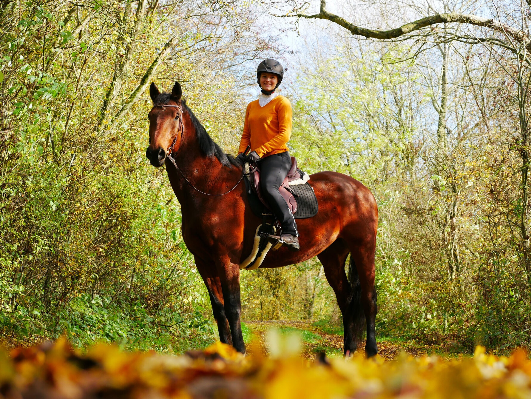 Reiterin auf Pferd